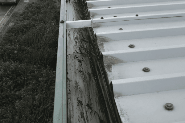 Commercial gutter cleaning specialists in Hertford